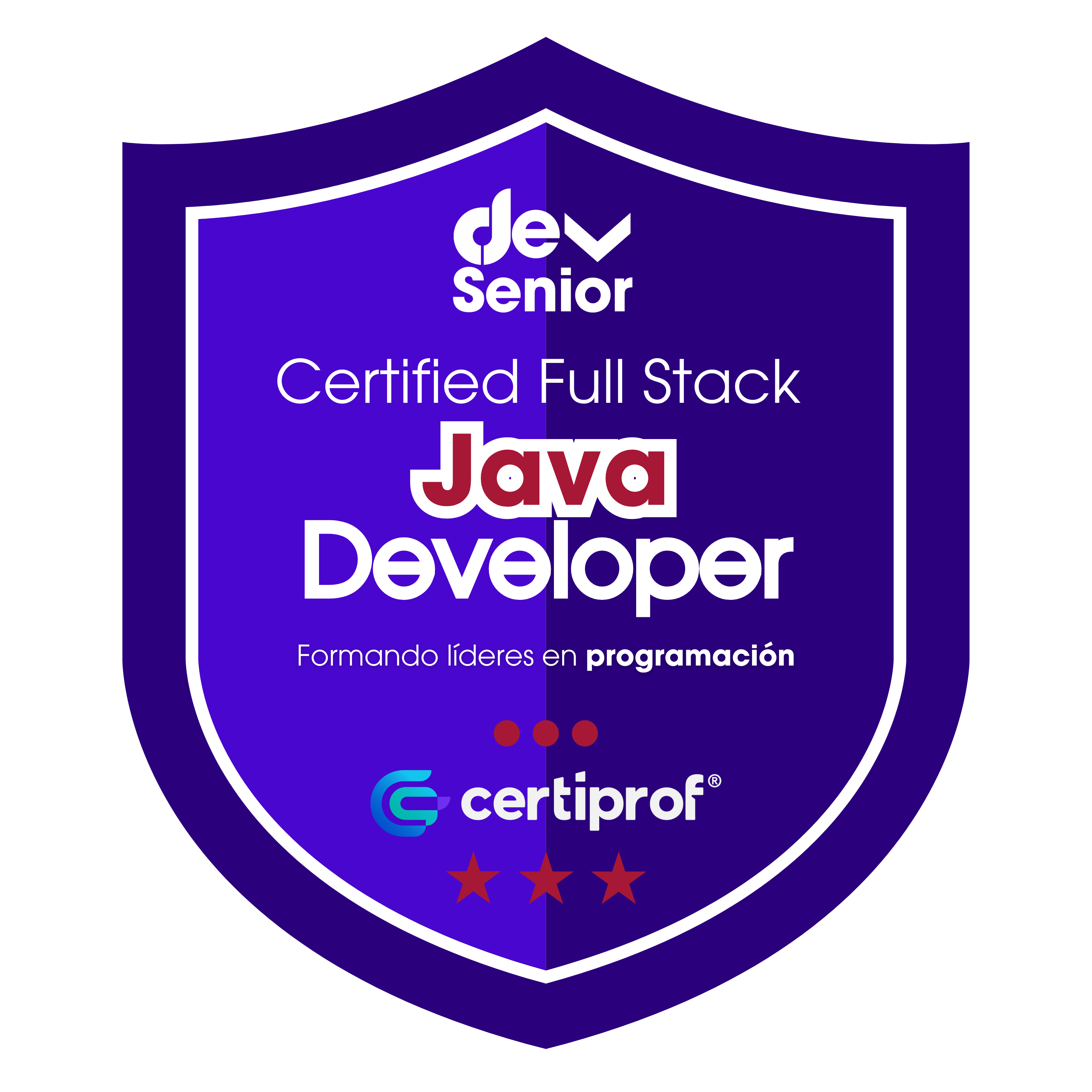 Insignia Java Full Stack Developer